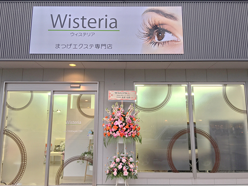 Wisteria (ウィステリア)本店